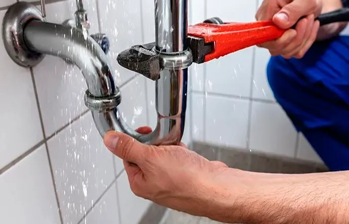 Imagem do portfólio